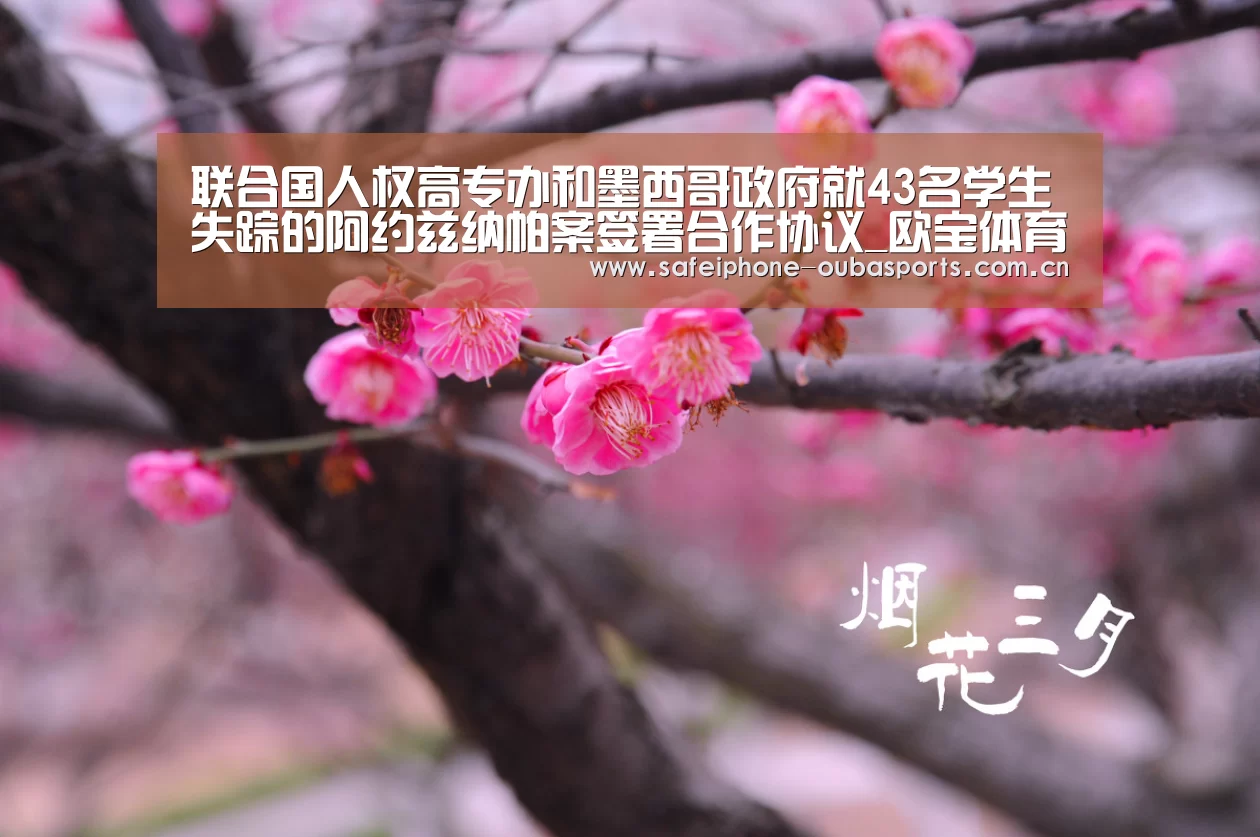 联合国人权高专办和墨西哥政府就43名学生失踪的阿约兹纳帕案签署合作协议_欧宝体育