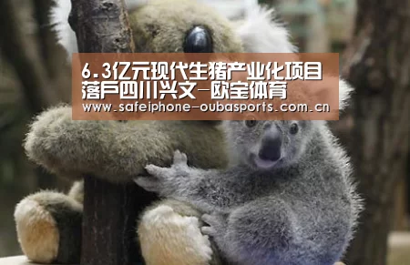 6.3亿元现代生猪产业化项目落户四川兴文-欧宝体育(图1) 欧宝体育